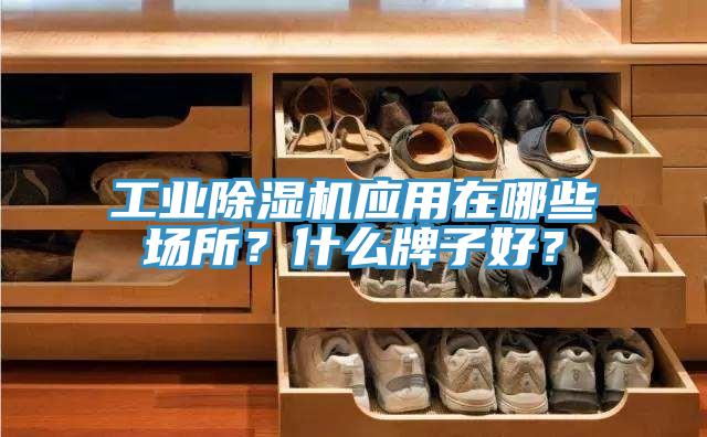 工業(yè)除濕機應(yīng)用在哪些場所？什么牌子好？