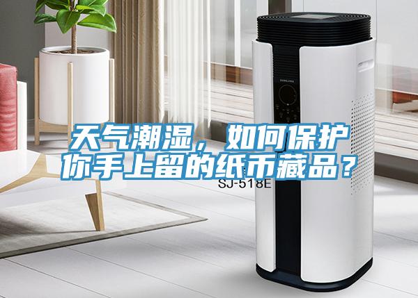天氣潮濕，如何保護你手上留的紙幣藏品？