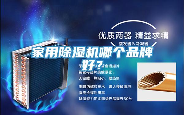 家用除濕機哪個品牌好？