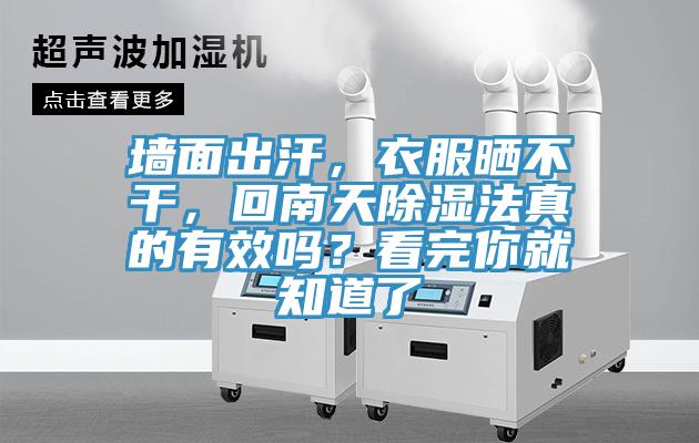 墻面出汗，衣服曬不干，回南天除濕法真的有效嗎？看完你就知道了