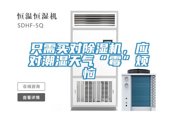只需買對(duì)除濕機(jī)，應(yīng)對(duì)潮濕天氣“霉”煩惱