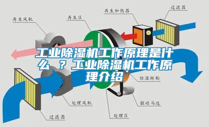工業(yè)除濕機(jī)工作原理是什么 ？工業(yè)除濕機(jī)工作原理介紹