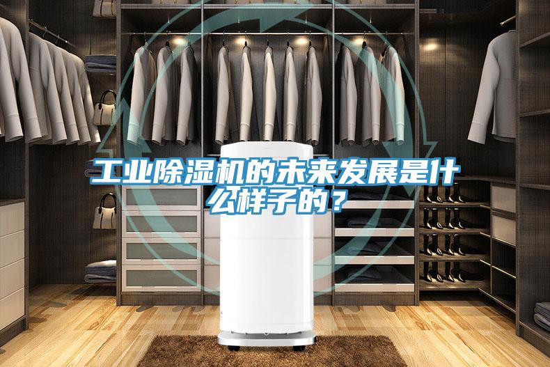 工業(yè)除濕機的未來發(fā)展是什么樣子的？