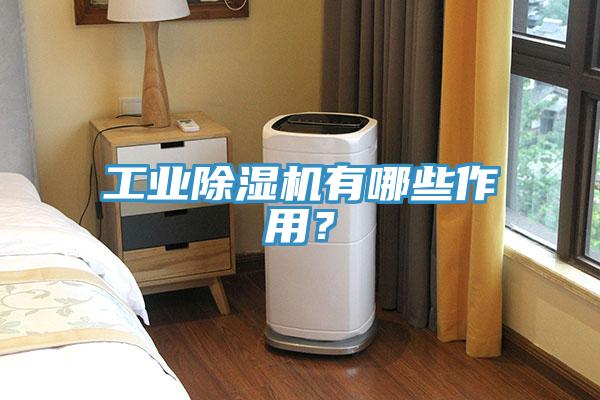 工業(yè)除濕機(jī)有哪些作用？