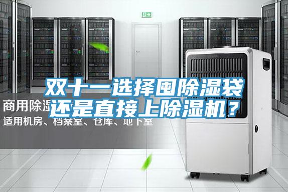 雙十一選擇囤除濕袋還是直接上除濕機？