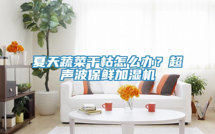 夏天蔬菜干枯怎么辦？超聲波保鮮加濕機(jī)