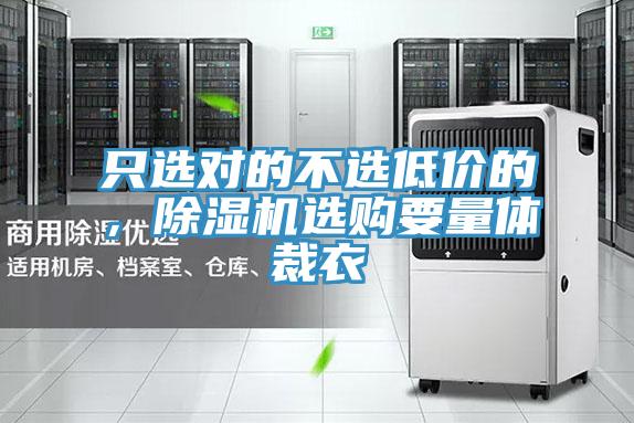 只選對的不選低價的，除濕機選購要量體裁衣