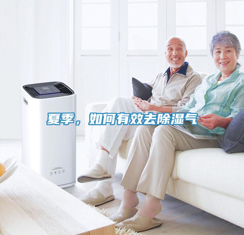 夏季，如何有效去除濕氣