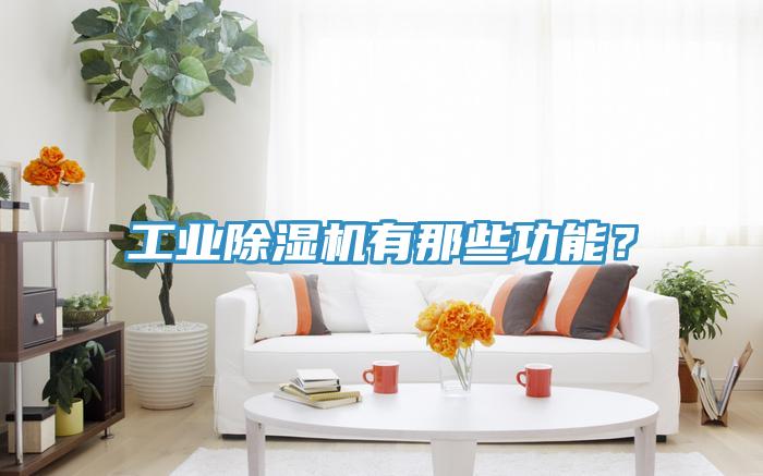 工業(yè)除濕機(jī)有那些功能？