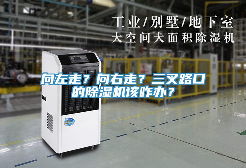 向左走？向右走？三叉路口的除濕機(jī)該咋辦？