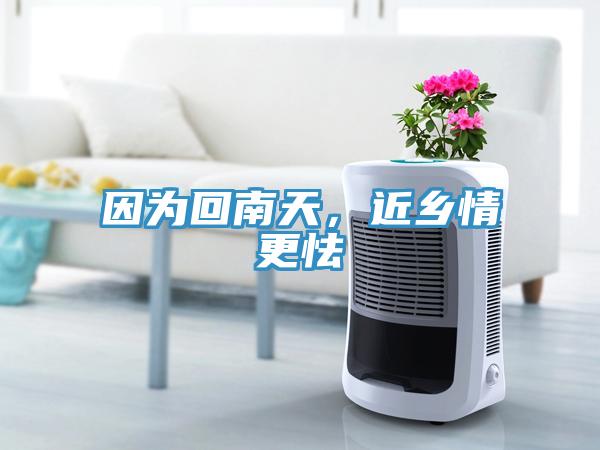 因為回南天，近鄉(xiāng)情更怯