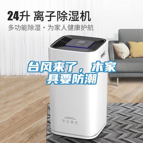 臺(tái)風(fēng)來(lái)了，木家具要防潮