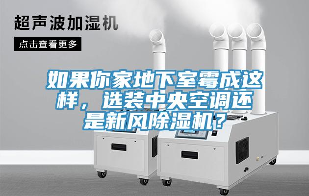 如果你家地下室霉成這樣，選裝中央空調(diào)還是新風除濕機？
