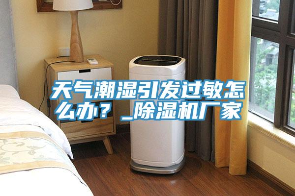 天氣潮濕引發(fā)過敏怎么辦？_除濕機廠家