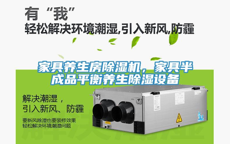 家具養(yǎng)生房除濕機(jī)，家具半成品平衡養(yǎng)生除濕設(shè)備