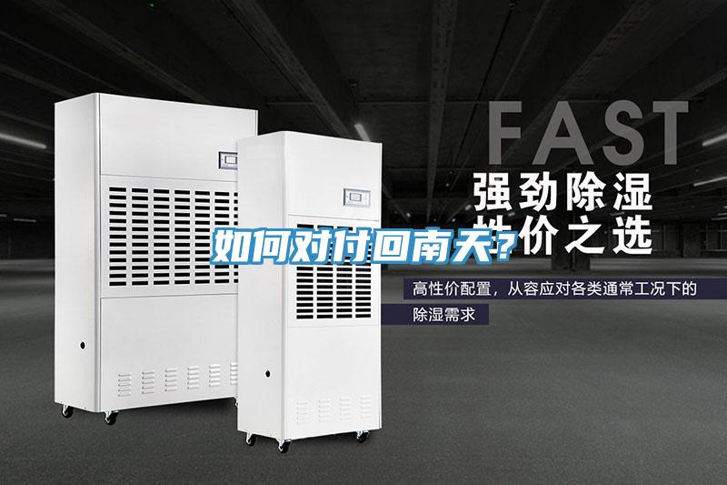 如何對付回南天？