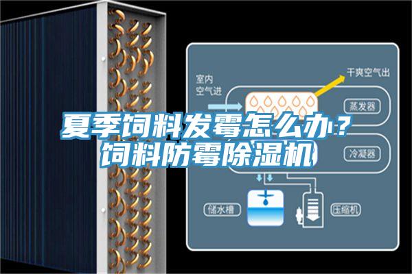 夏季飼料發(fā)霉怎么辦？飼料防霉除濕機