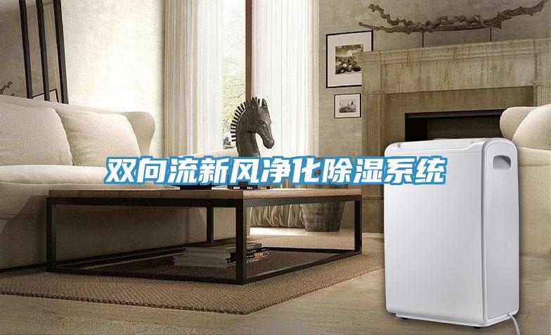 雙向流新風凈化除濕系統(tǒng)