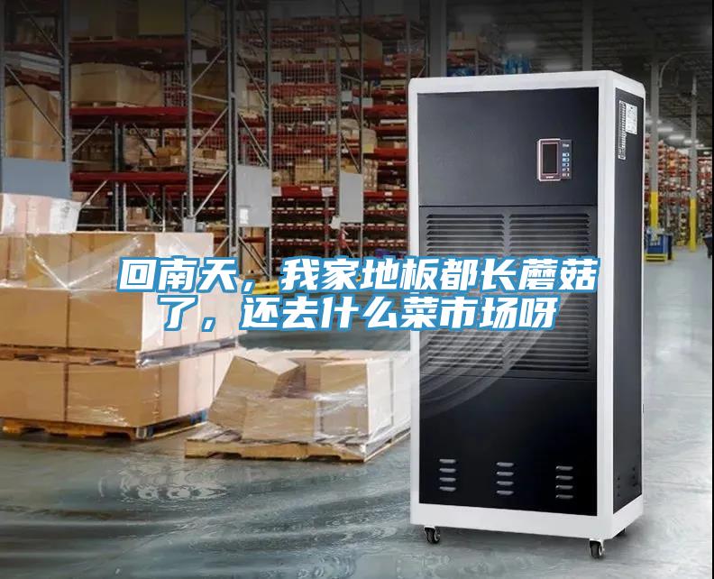 回南天，我家地板都長蘑菇了，還去什么菜市場(chǎng)呀