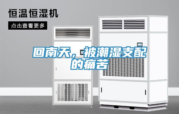 回南天，被潮濕支配的痛苦
