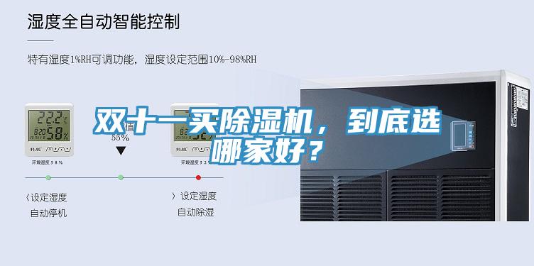 雙十一買除濕機(jī)，到底選哪家好？