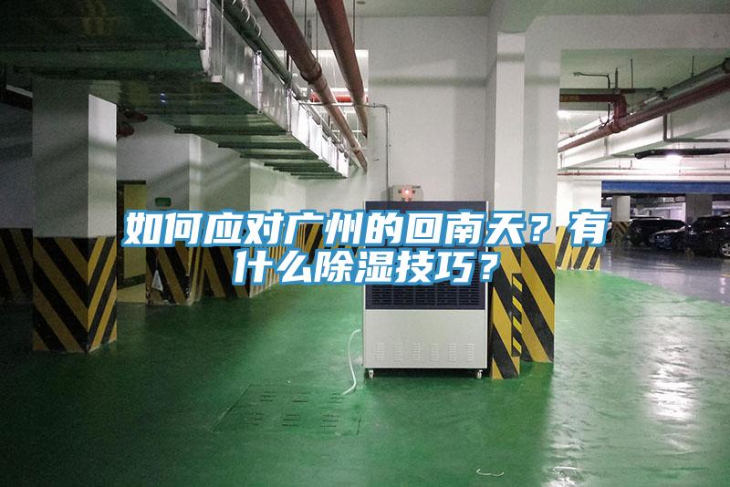 如何應(yīng)對廣州的回南天？有什么除濕技巧？