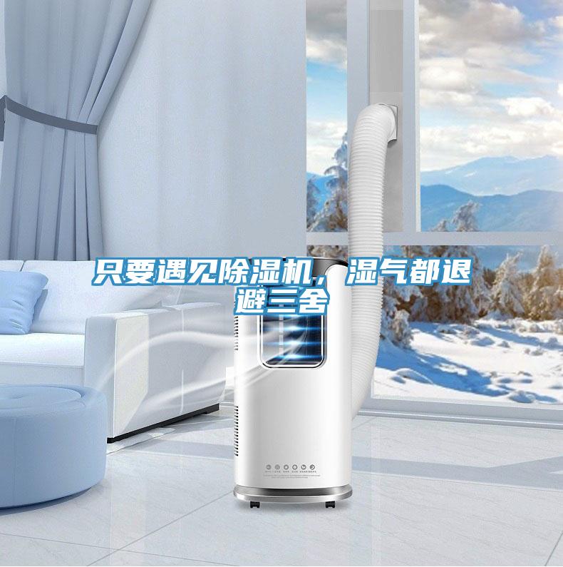 只要遇見除濕機，濕氣都退避三舍