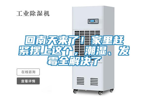 回南天來了！家里趕緊擺上這個(gè)，潮濕、發(fā)霉全解決了
