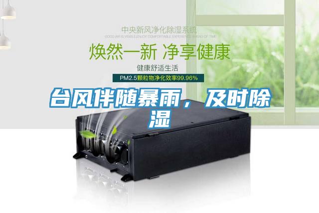 臺(tái)風(fēng)伴隨暴雨，及時(shí)除濕