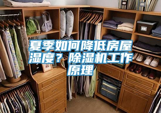 夏季如何降低房屋濕度？除濕機工作原理