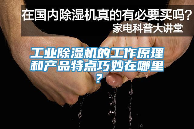 工業(yè)除濕機(jī)的工作原理和產(chǎn)品特點(diǎn)巧妙在哪里？
