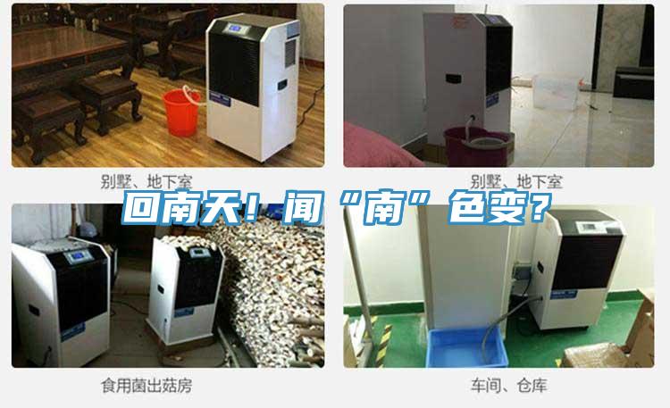 回南天！聞“南”色變？