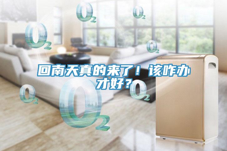 回南天真的來(lái)了！該咋辦才好？