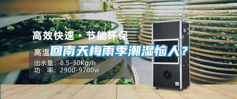 回南天梅雨季潮濕惱人？