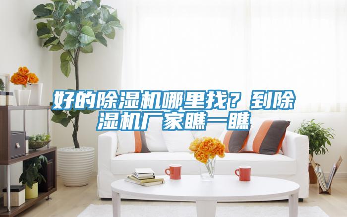 好的除濕機哪里找？到除濕機廠家瞧一瞧
