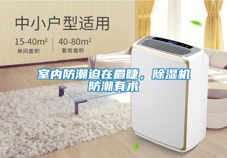 室內防潮迫在眉睫，除濕機防潮有術