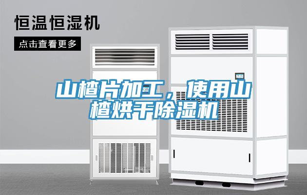 山楂片加工，使用山楂烘干除濕機