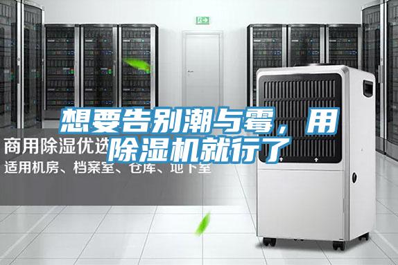想要告別潮與霉，用除濕機就行了