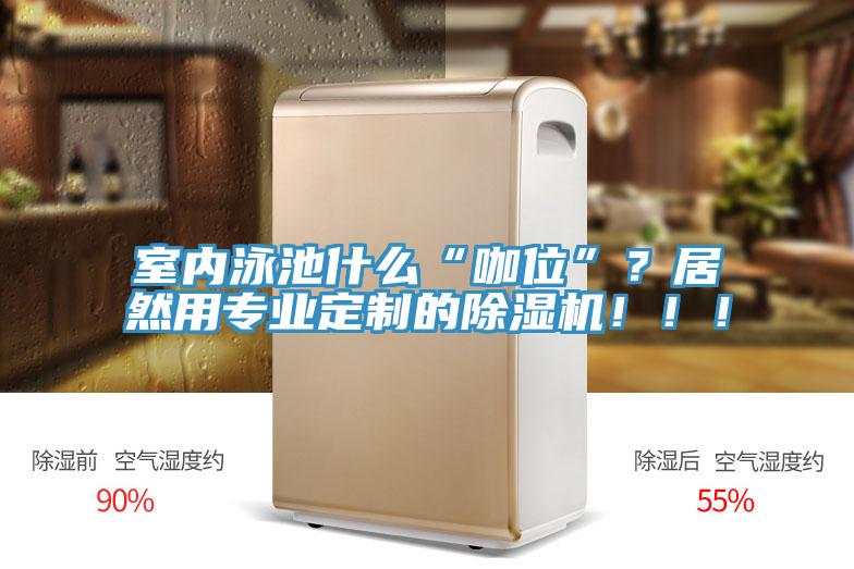 室內(nèi)泳池什么“咖位”？居然用專業(yè)定制的除濕機！?。?/></p>
                            <p style=