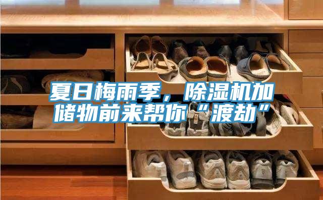 夏日梅雨季，除濕機加儲物前來幫你“渡劫”
