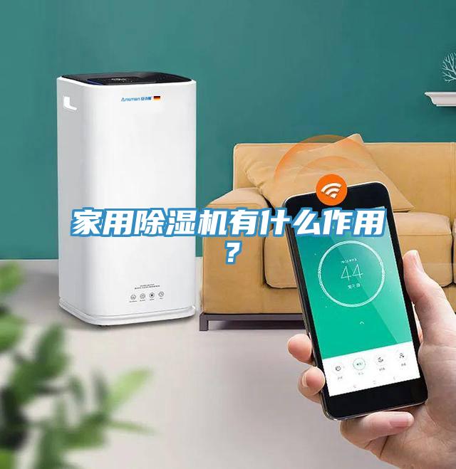 家用除濕機有什么作用？