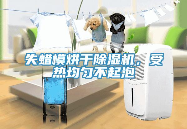 失蠟?zāi)：娓沙凉駲C(jī)，受熱均勻不起泡