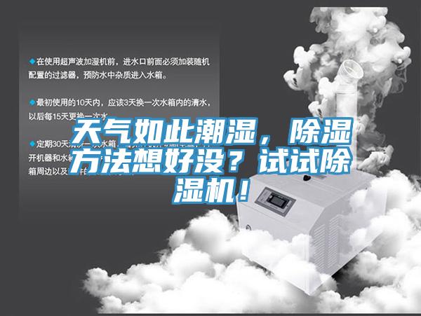 天氣如此潮濕，除濕方法想好沒？試試除濕機！