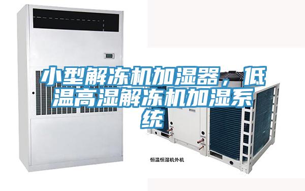 小型解凍機(jī)加濕器，低溫高濕解凍機(jī)加濕系統(tǒng)