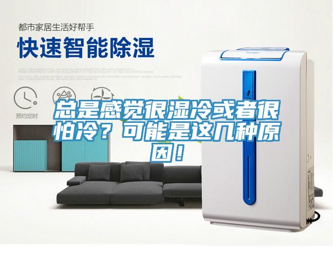 總是感覺很濕冷或者很怕冷？可能是這幾種原因！