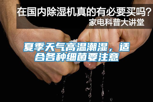 夏季天氣高溫潮濕，適合各種細菌要注意
