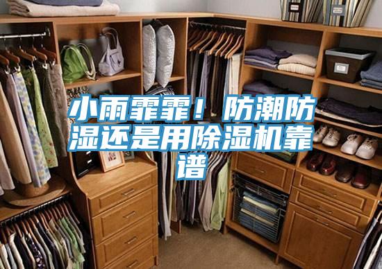 小雨霏霏！防潮防濕還是用除濕機靠譜