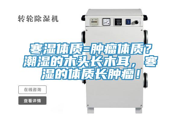 寒濕體質(zhì)=腫瘤體質(zhì)？潮濕的木頭長木耳，寒濕的體質(zhì)長腫瘤！