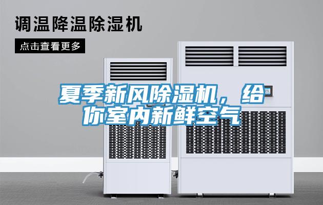 夏季新風除濕機，給你室內(nèi)新鮮空氣
