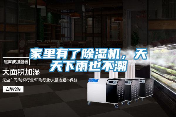 家里有了除濕機(jī)，天天下雨也不潮